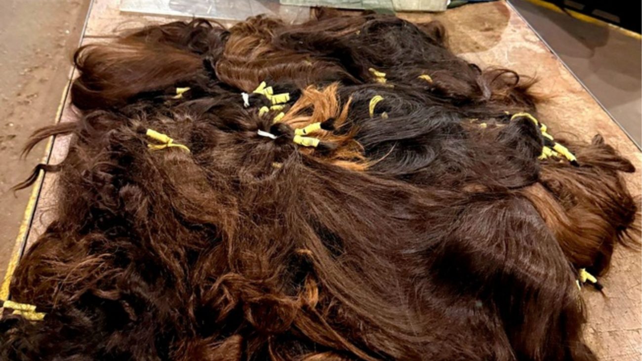 Imagem de cabelo humano