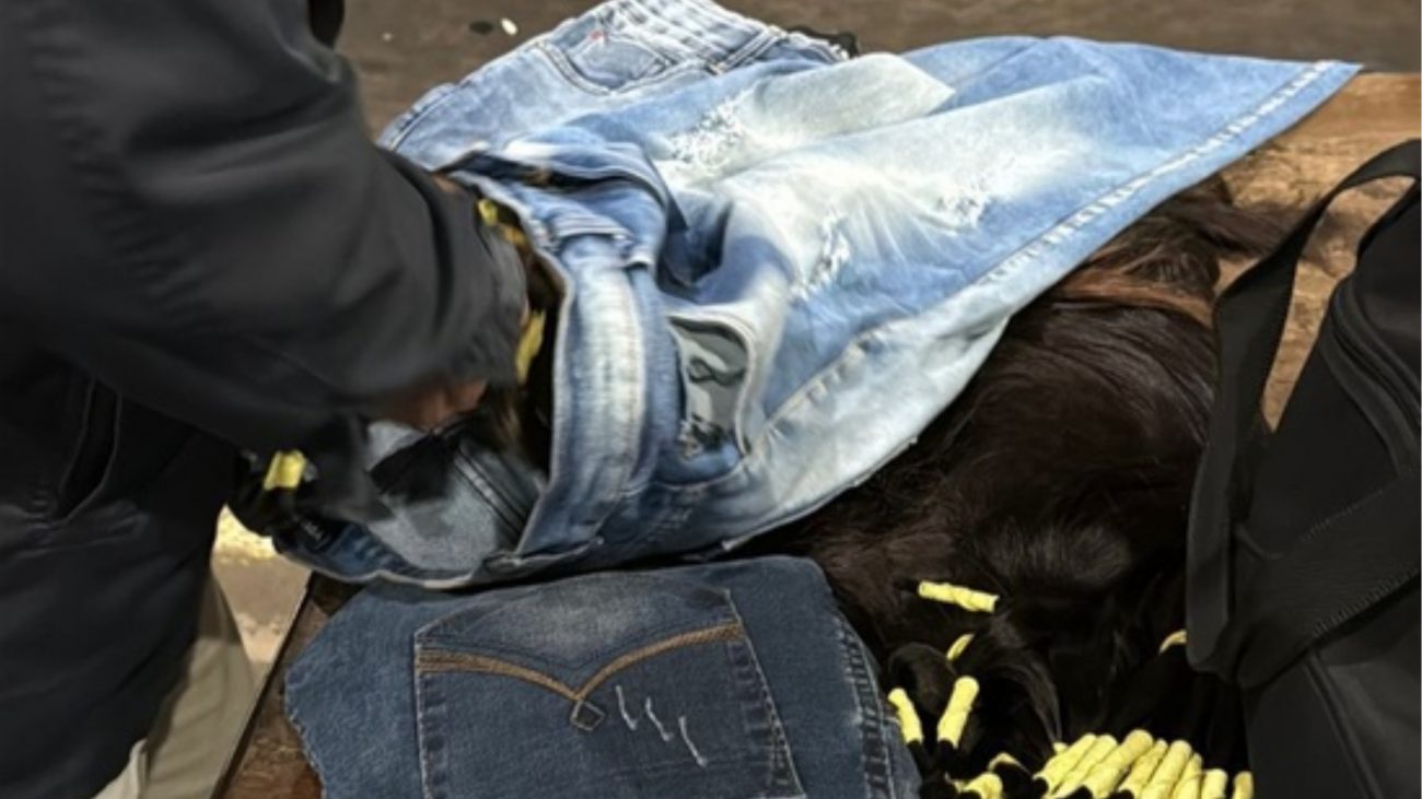 Cabrlo humano dentro de short