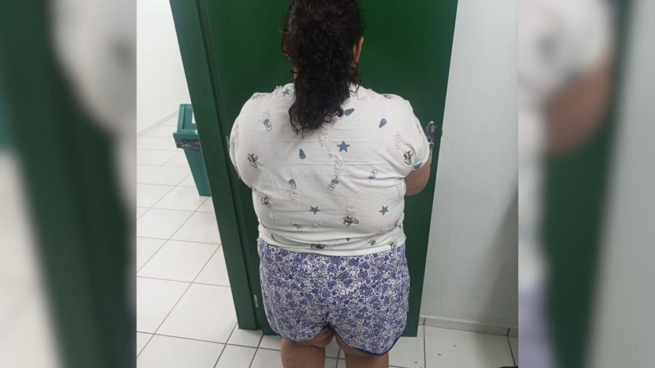 Mulher que fingiu ser criança em SC tem prisão decretadaFoto: Divulgação/Polícia Civil de Santa Catarina/ND Mais