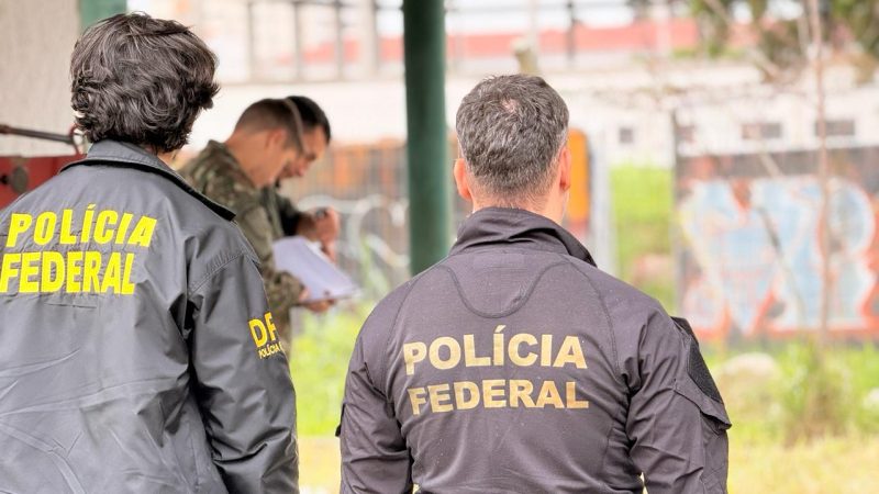 Ação integra as medidas permanentes de desarmamento e redução da circulação de armamentos no estado - Divulgação/PF/ND Mais