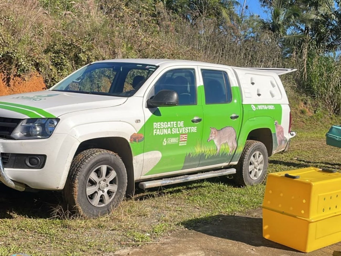 Animais encontrados em situação de maus-tratos em Blumenau foram resgatados e encaminhados para atendimento veterinárioFoto: Divulgação/Polícia Civil/ND Mais