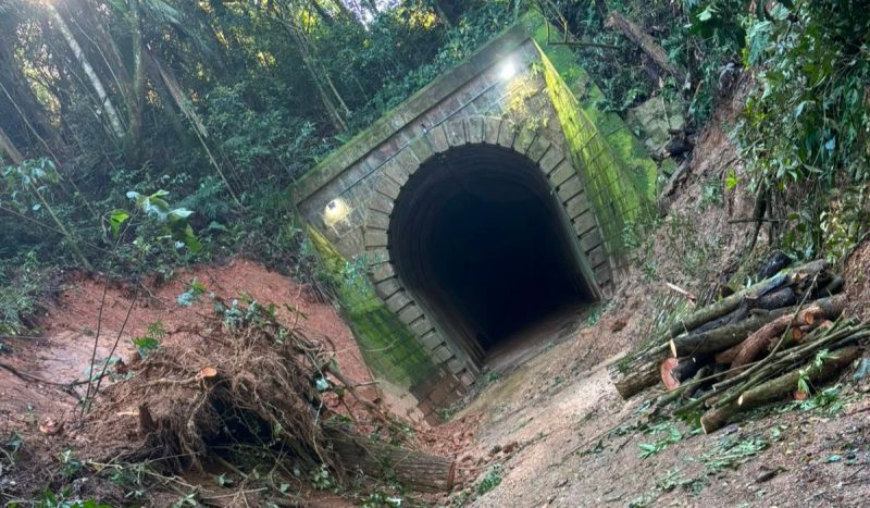 Não há previsão para liberação, mas equipes já estão limpando o local. - Prefeitura de Apiúna/Reprodução/ND Mais