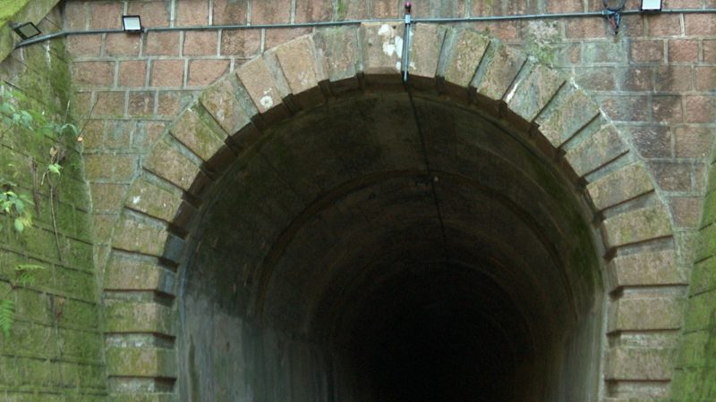 A revitalização incluiu a limpeza do entorno e a criação de acessos, integrando o túnel oficialmente ao roteiro cultural do Vale do Itajaí. - Gustavo Féo/NDTV/ND Mais