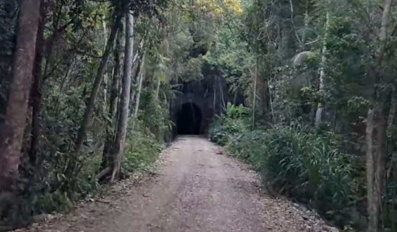Entrada do maior túnel da Estrada de Ferro de SC, abandonado por 50 anos - @anadotem/Reprodução/ND Mais