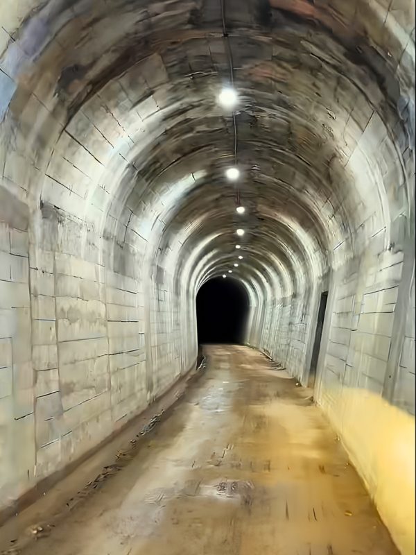 O maior túnel ferroviário de Santa Catarina, que ficou abandonado por cerca de cinco décadas em meio à mata, em Apiúna, no Vale do Itajaí, será oficialmente inaugurado - Divulgação/ND Mais