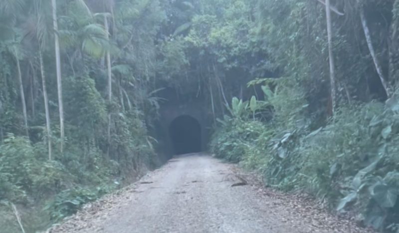 Entrada do maior túnel da Estrada de Ferro de SC, abandonado por 50 anos - @anadotem/Reprodução/ND Mais