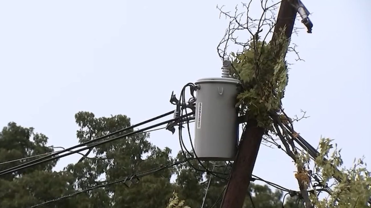 A queda da árvore também atingiu as linhas de energia da regiãoFoto: WHAS11/YouTube