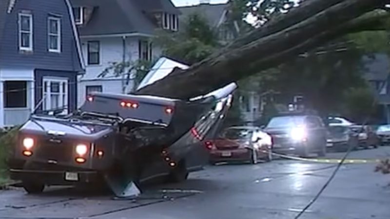 Os moradores ouviram o barulho da árvore atingindo o veículo - WHAS11/YouTube