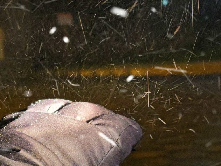 Primeira neve de agosto é registrada em São Joaquim