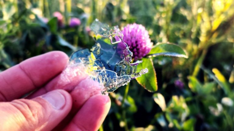 Geada de Novembro na Serra Catarinense 